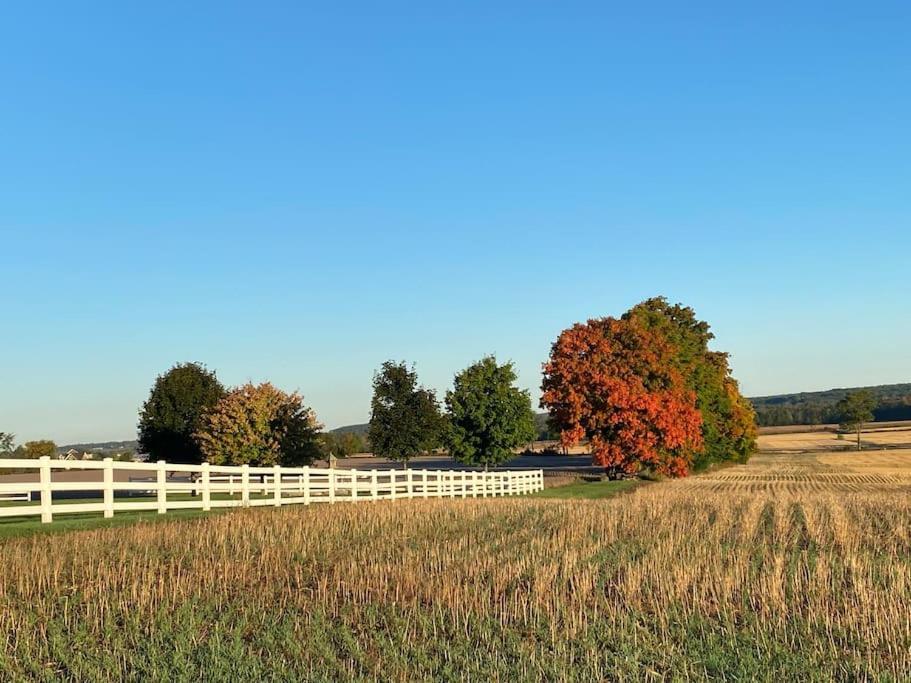 Farmhouse Guest Suite, Pool, Hot Tub, Horses Midhurst Exterior foto